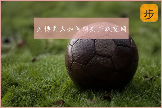利博真人如何辨别正版官网